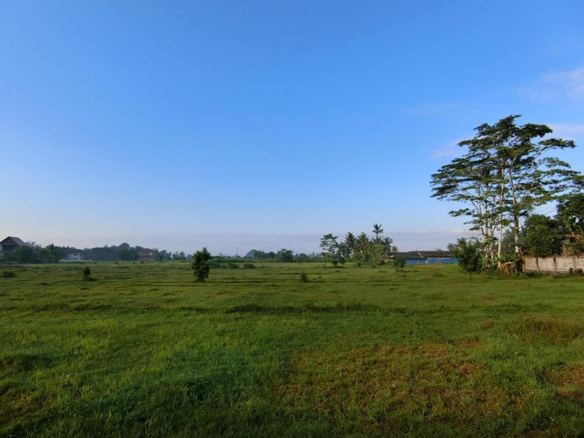 New Private Pool Villa - Villa Kita Ubud Dış mekan fotoğraf